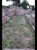 03070 ostia - regio i - insula ii - caseggiato del pantomimo apolausto and caseggiato del balcone ligneo (i,ii,2.6) - porticus (20) - bli von westen - 09-2022.jpg